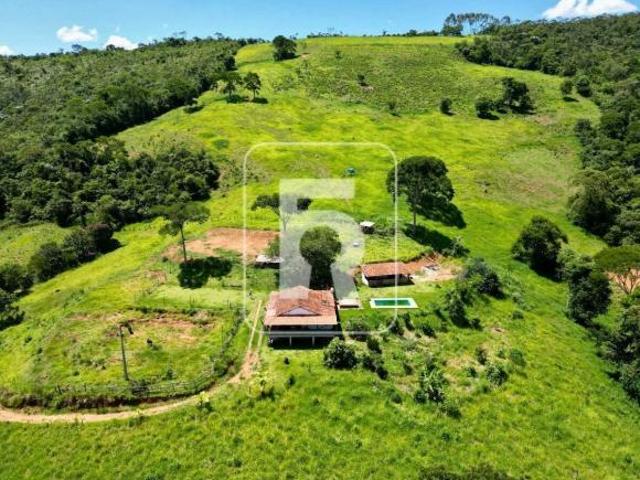 Sítio à venda, 4 quartos, Centro Piranga/MG