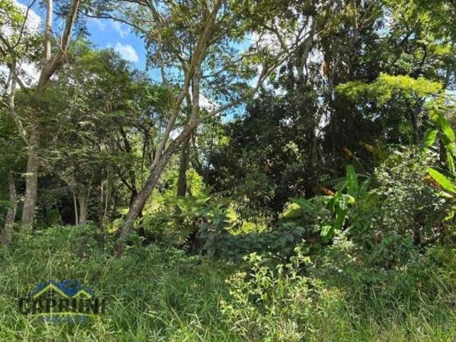 Sítio à venda, 4 quartos, Fazenda Matias de Cima Cláudio/MG