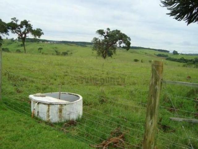 Sítio à venda, 556600 m² por R$ 7.500.000,00 Rodeio Sarapuí/SP