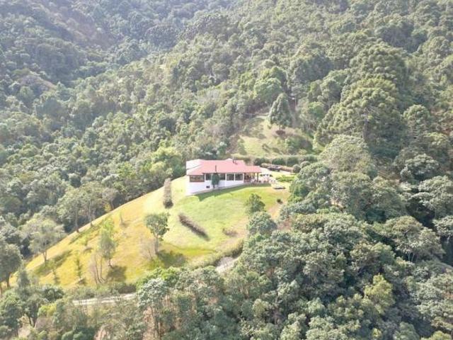 Sítio à venda, 677600 m² por R$ 8.000.000,00 Centro Gonçalves/MG