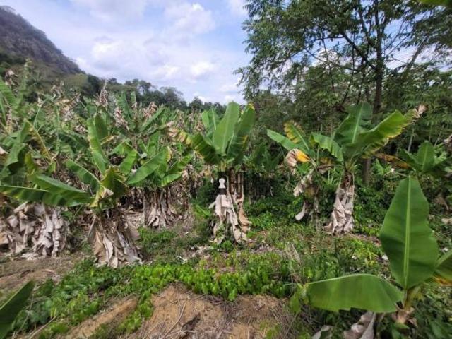 Sítio à venda, 620000 m² por R$ 420.000,00 Piau Piau/MG