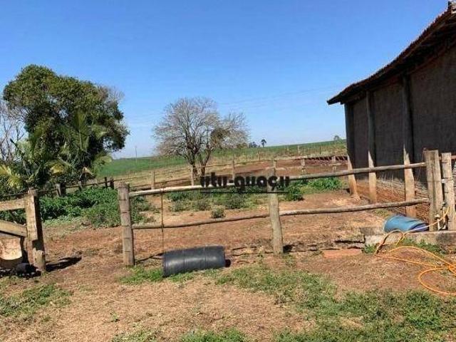 Sítio à venda, 72600 m² por R$ 1.300.000,00 Rodovia Osni Mateus Cerqueira César/SP