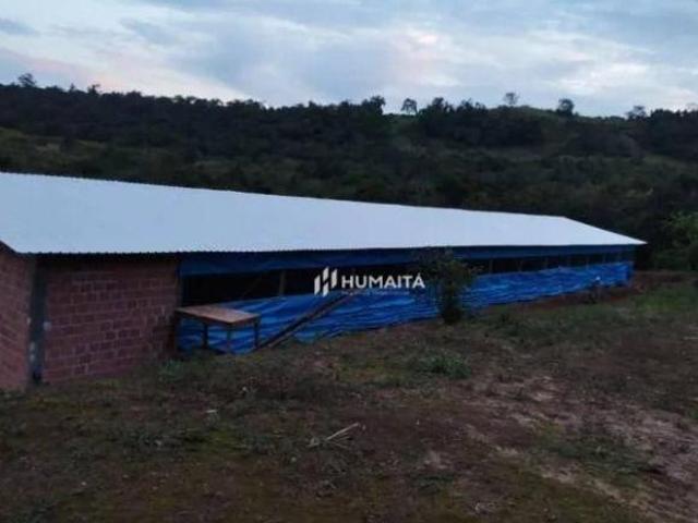 Sítio à venda, 88000 m² por R$ 1.200.000,00 Zona Rural Tamarana/PR