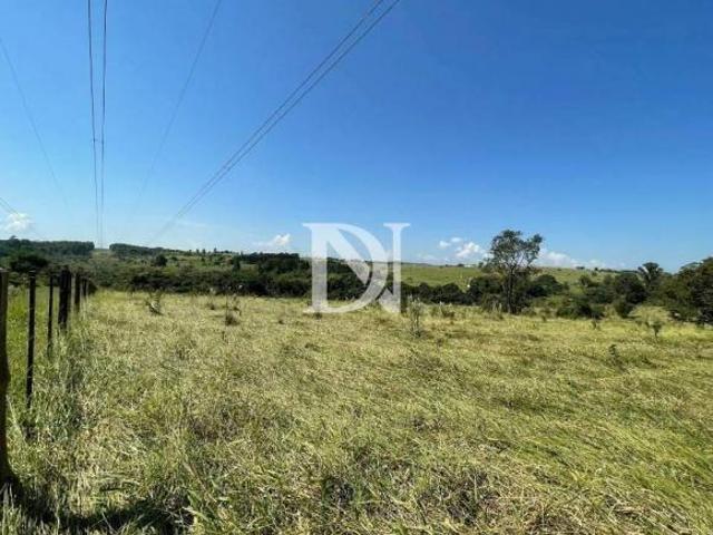 Sítio à venda, 90000 m² por R$ 1.480.000,00 Jacú Itu/SP