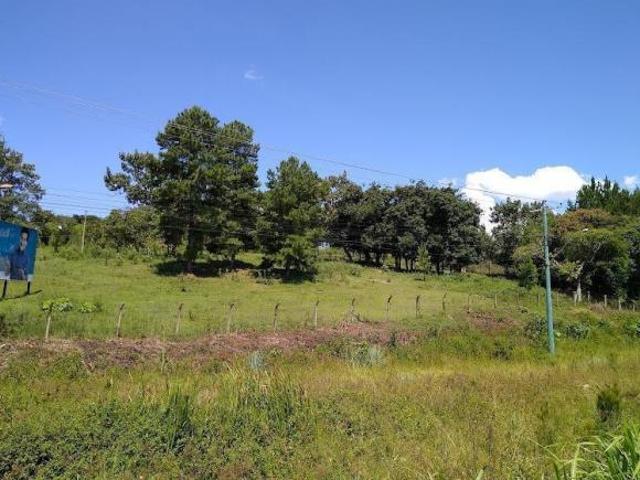 Sitio, Bairro Casa de Pedra, Igrejinha, RS