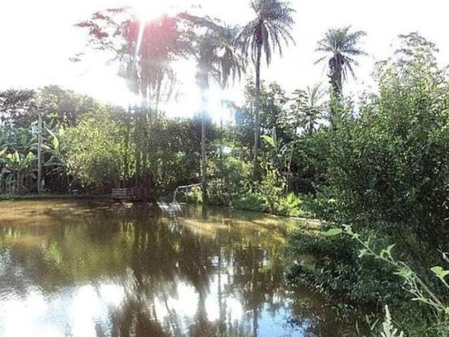 Sitio, Bairro do Pires, Espírito Santo do Pinhal, SP