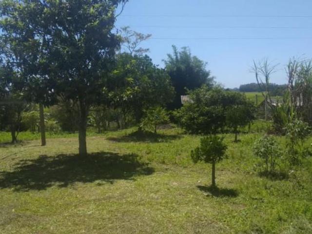 Sítio Bairro Jacaré