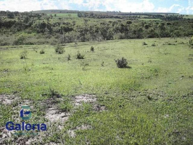 Sítio Bela Vista à venda, 36.300 m² Santa Rosa de Viterbo SP