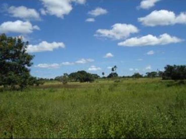 Sítio Buritizeiro