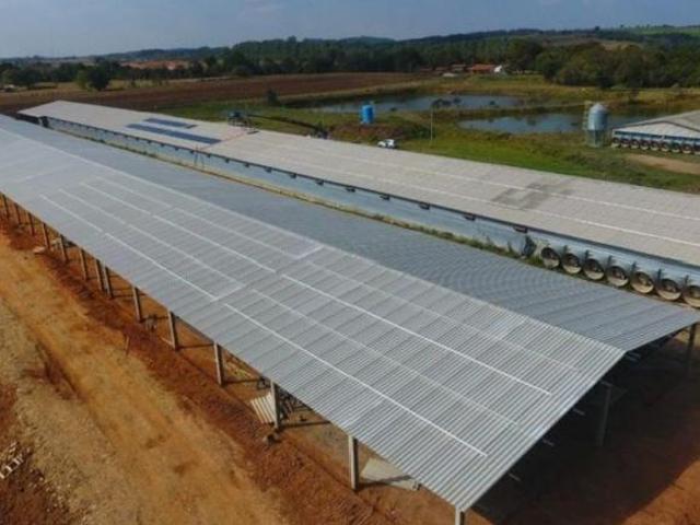 Sitio c/ Granja 8 Alqueires, 6 barracões Modernos sendo 2 Barracões Novo, Granjas Automáticas, 220 m