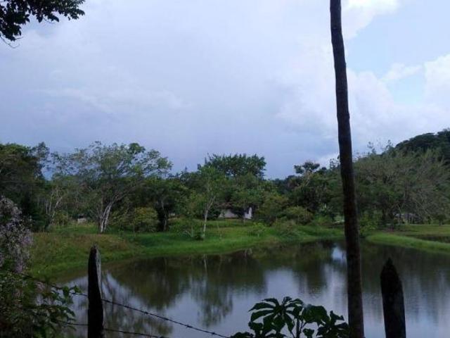 SÍTIO CACHOEIRINHA EM MIRACATU SP COD: 6090 F: 11 97302 9229 CESAR