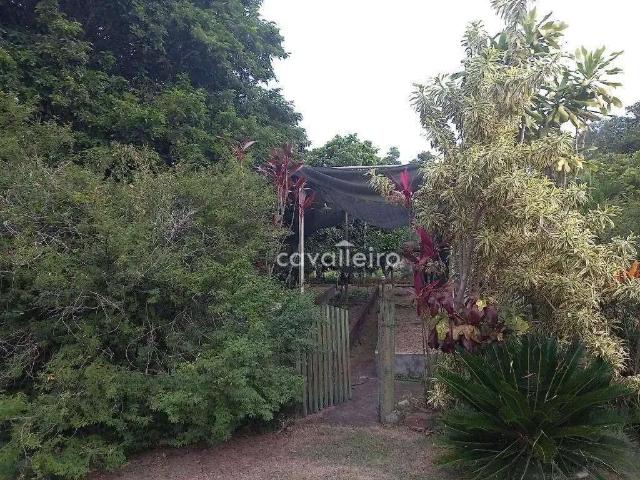 Sítio / Chácara para Locação em Maricá/RJ Caxito 3 Quartos