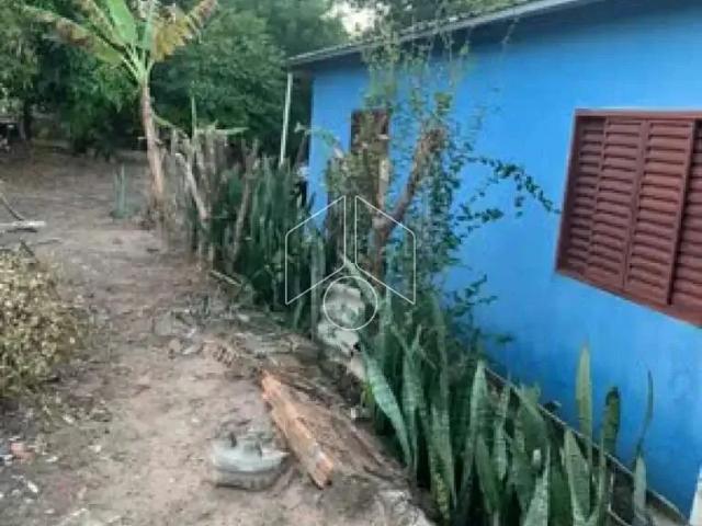Sítio / Chácara para Locação em Marília/SP Núcleo Habitacional Alcides Matiuzzi 3 Quartos