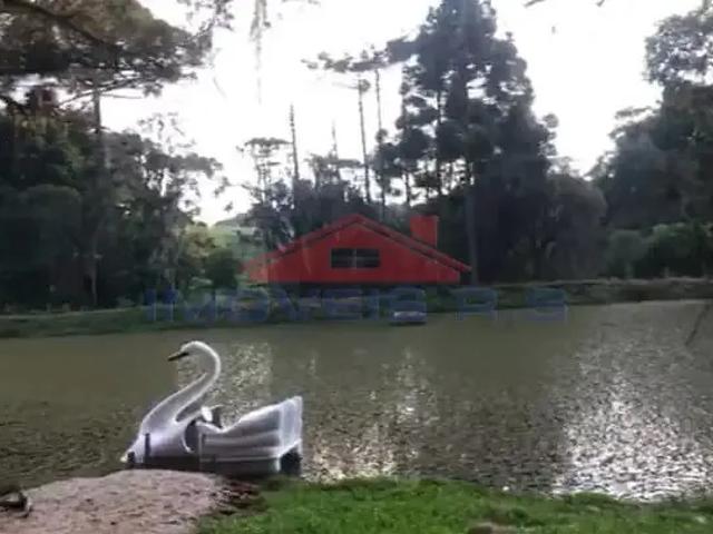 Sítio / Chácara para Locação em Araucária/PR Colônia Cristina 4 Quartos