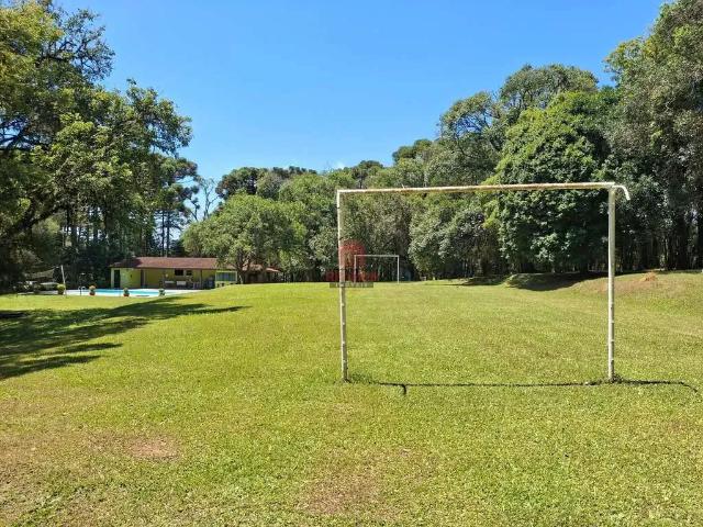 Sítio / Chácara para Locação em Balsa Nova/PR Bugre