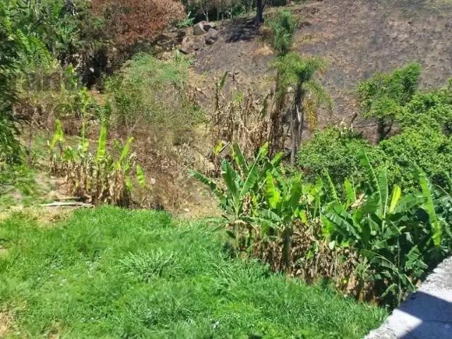 Sítio / Chácara para Locação em Barueri/SP Jardim Califórnia
