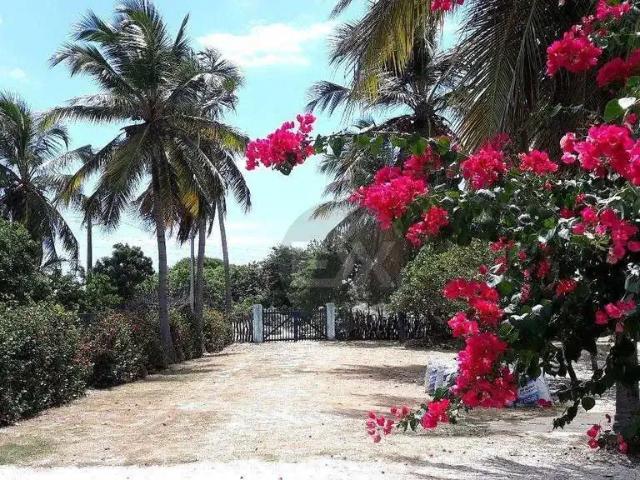 Sítio / Chácara para Locação em Beberibe/CE Prainha do Canto Verde