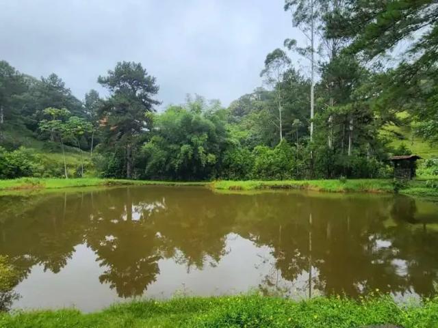 Sítio / Chácara para Locação em Blumenau/SC Progresso 4 Quartos