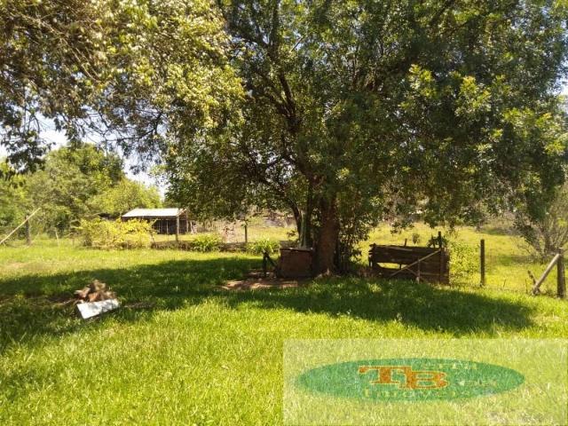 Sítio / Chácara para Locação em Capela de Santana/RS Zona Rural