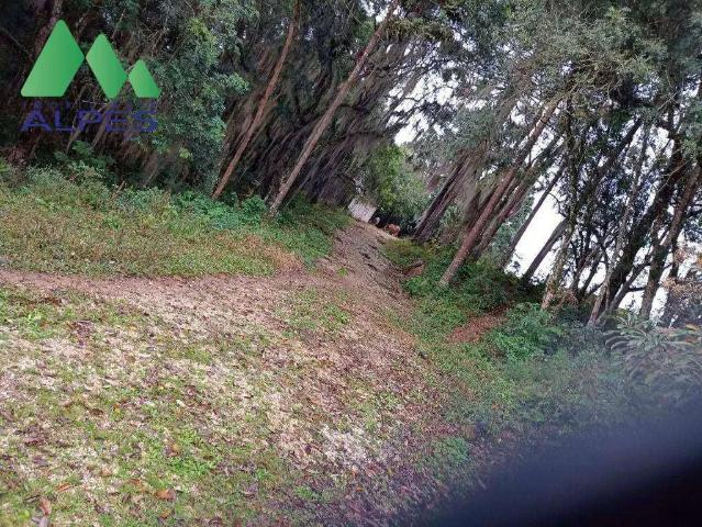 Sítio / Chácara para Locação em Contenda/PR Rio do Cacho 2 Quartos