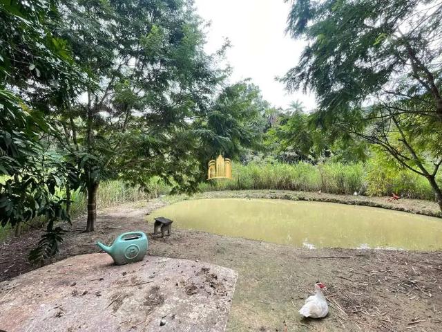 Sítio / Chácara para Locação em Esmeraldas/MG Zona Rural 5 Quartos