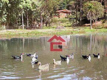 Sítio / Chácara para Locação em Itapevi/SP Parque Mira Flores 5 Quartos