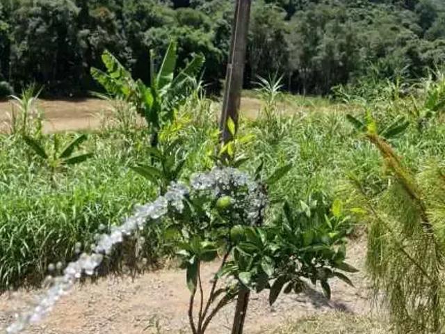 Sítio / Chácara para Locação em Ibiúna/SP Verava 3 Quartos