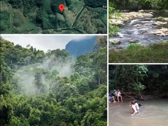 Sítio / Chácara para Locação em Jacupiranga/SP Centro