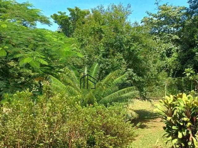 Sítio / Chácara para Locação em Jaguariúna/SP Núcleo Urbano Bom Jardim 2 Quartos