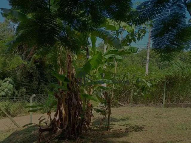 Sítio / Chácara para Locação em Jaguariúna/SP Núcleo Urbano Bom Jardim 2 Quartos