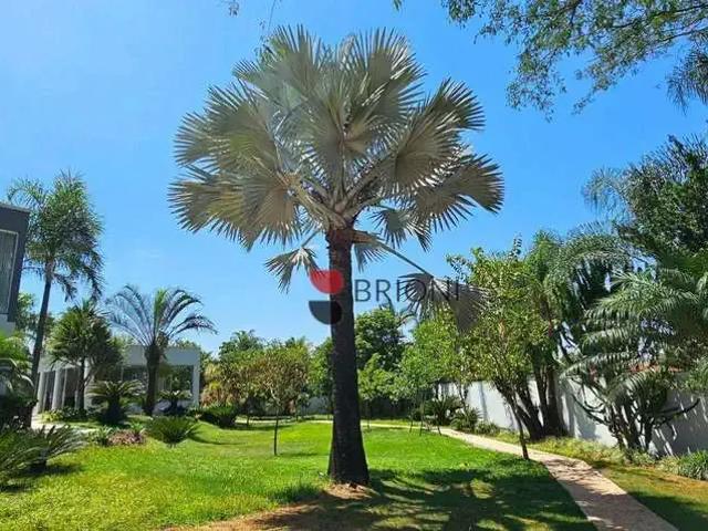 Sítio / Chácara para Locação em Jardinópolis/SP Beira Rio 4 Quartos