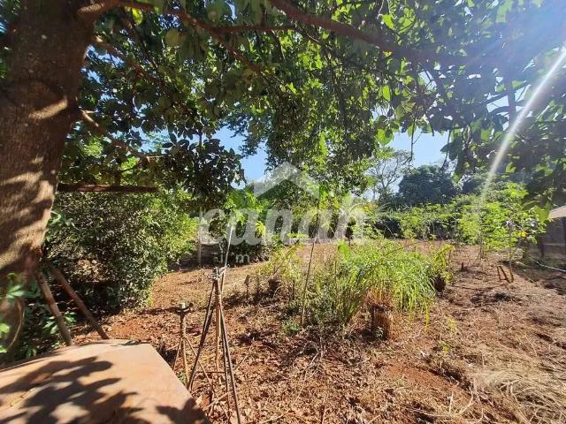 Sítio / Chácara para Locação em Jardinópolis/SP Zona Rural 3 Quartos