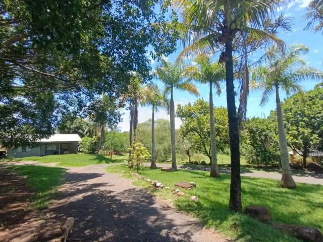 Sítio / Chácara para Locação em Londrina/PR Limoeiro 3 Quartos