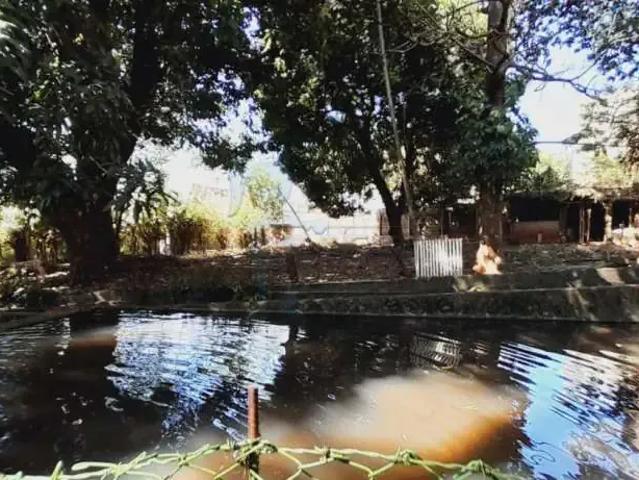 Sítio / Chácara para Locação em Ribeirão Preto/SP City Ribeirão 7 Quartos