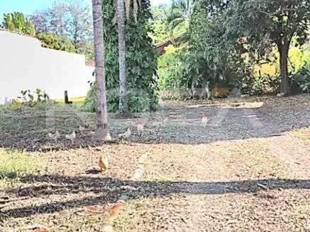 Sítio / Chácara para Locação em Ribeirão Preto/SP Recreio das Acácias 4 Quartos