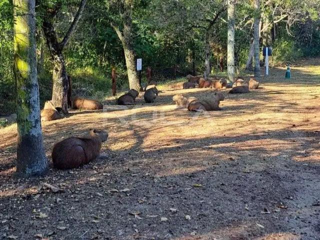 Sítio / Chácara para Locação em São Carlos/SP Parque Itaipu 3 Quartos