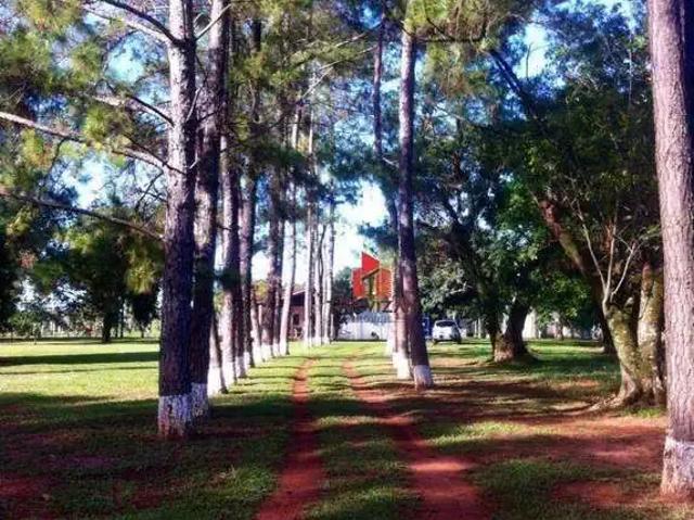 Sítio / Chácara para Locação em São José do Rio Preto/SP Talhado 3 Quartos