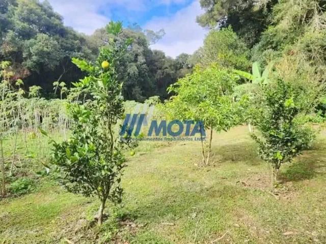 Sítio / Chácara para Locação em São José dos Pinhais/PR Borda do Campo 3 Quartos