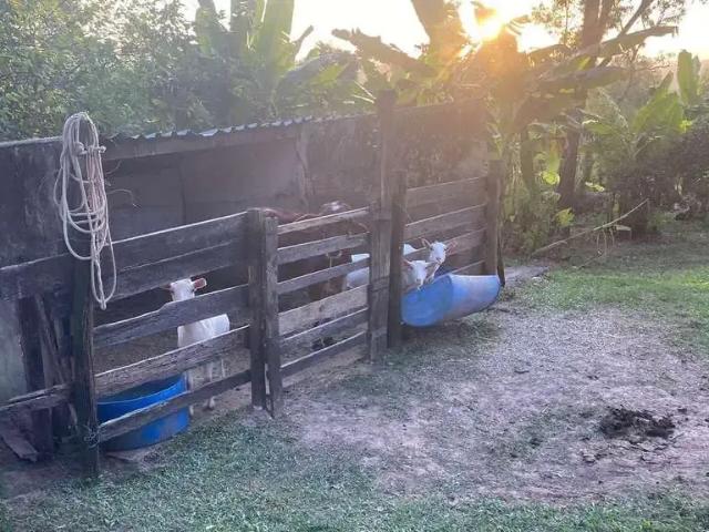 Sítio / Chácara para Locação em São Pedro/SP Vertentes das Águas 1 Quartos