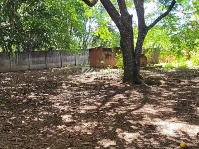 Sítio / Chácara para Locação em Uberaba/MG Centro 3 Quartos