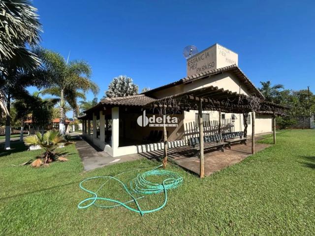 Sítio / Chácara para Locação em Uberlândia/MG Área Rural de Uberlândia 5 Quartos