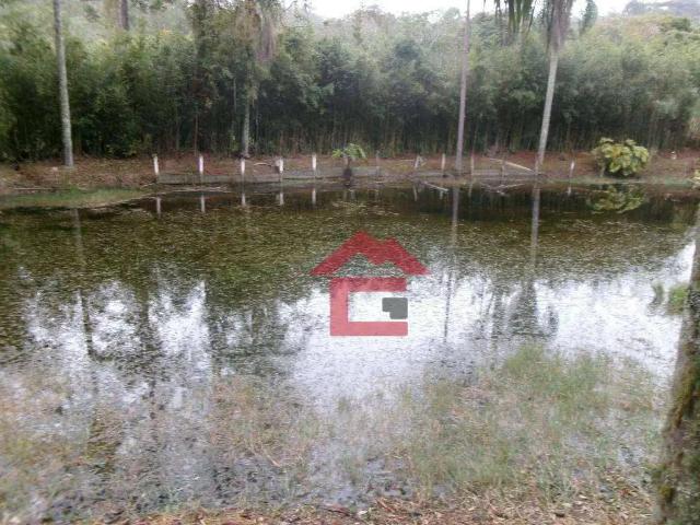 Sítio / Chácara para Venda em Cotia/SP Cachoeira 4 Quartos
