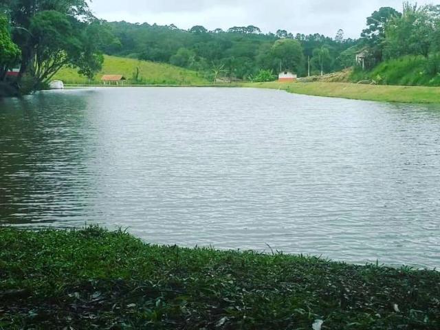 Sítio / Chácara para Venda em Cotia/SP Jardim das Graças