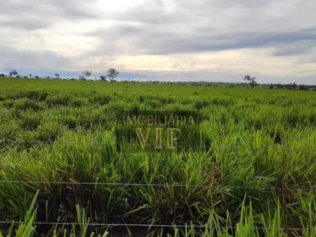 Sítio / Chácara para Venda em Coxim/MS Zona Rural 1 Quartos