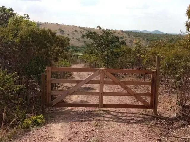 Sítio / Chácara para Venda em Cocalzinho de Goiás/GO Edilandia 5 Quartos