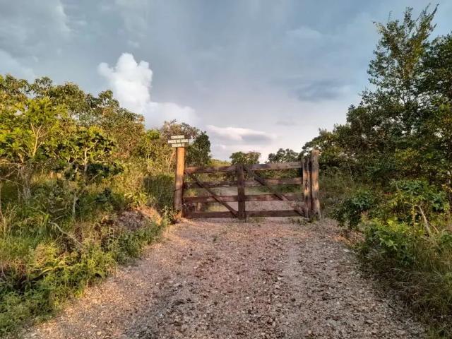 Sítio / Chácara para Venda em Cocalzinho de Goiás/GO Zona Rural 1 Quartos