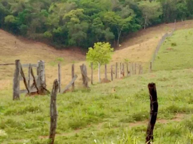Sítio / Chácara para Venda em Cocalzinho de Goiás/GO Zona Rural 2 Quartos