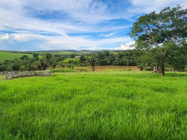 Sítio / Chácara para Venda em Cocalzinho de Goiás/GO Zona Rural 4 Quartos