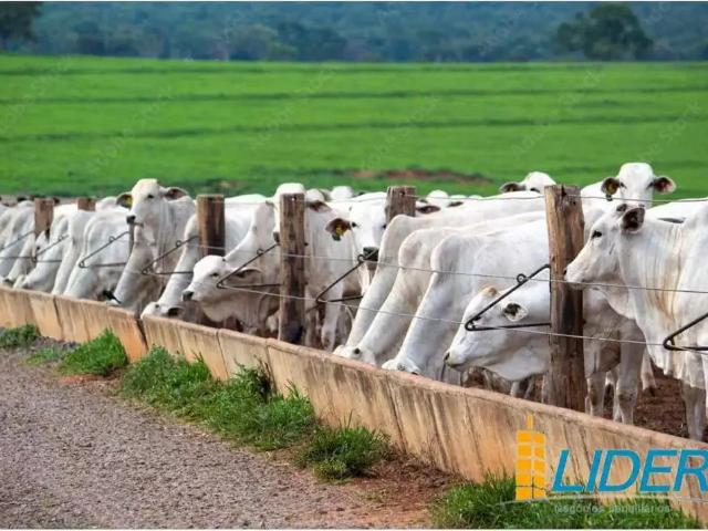 Sítio / Chácara para Venda em Cocalinho/MT Zona Rural