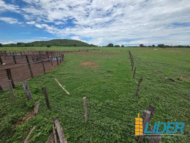 Sítio / Chácara para Venda em Cocalinho/MT Zona Rural